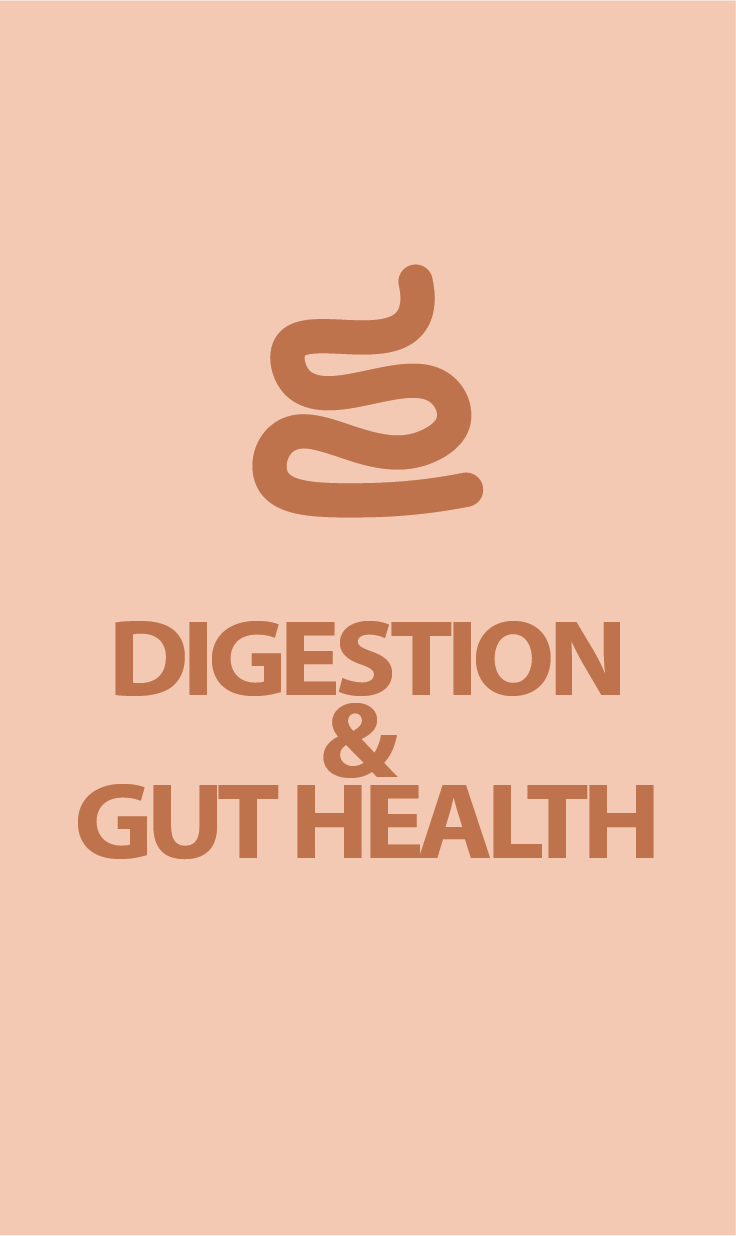 Digestion & Gut Health